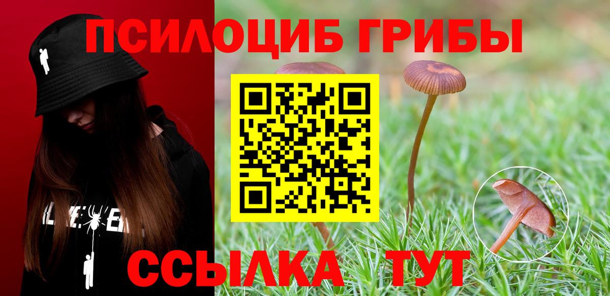 Кольчугино  Галлюциногенные грибы Magic Shrooms  Вход с VPN 